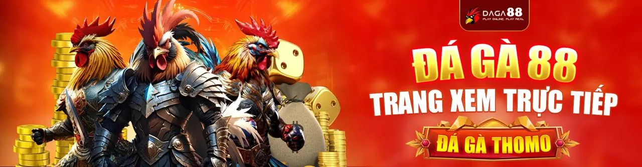 Đá Gà Trực Tuyến Hấp Dẫn tại yg88